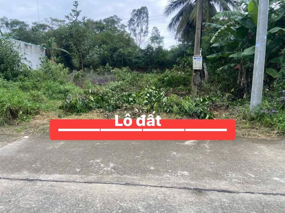 Lô đất 174m² Cẩm Toại Trung, Hòa Phong giá 1.4 tỷ - Không ngập lụt, dân cư đông đúc!