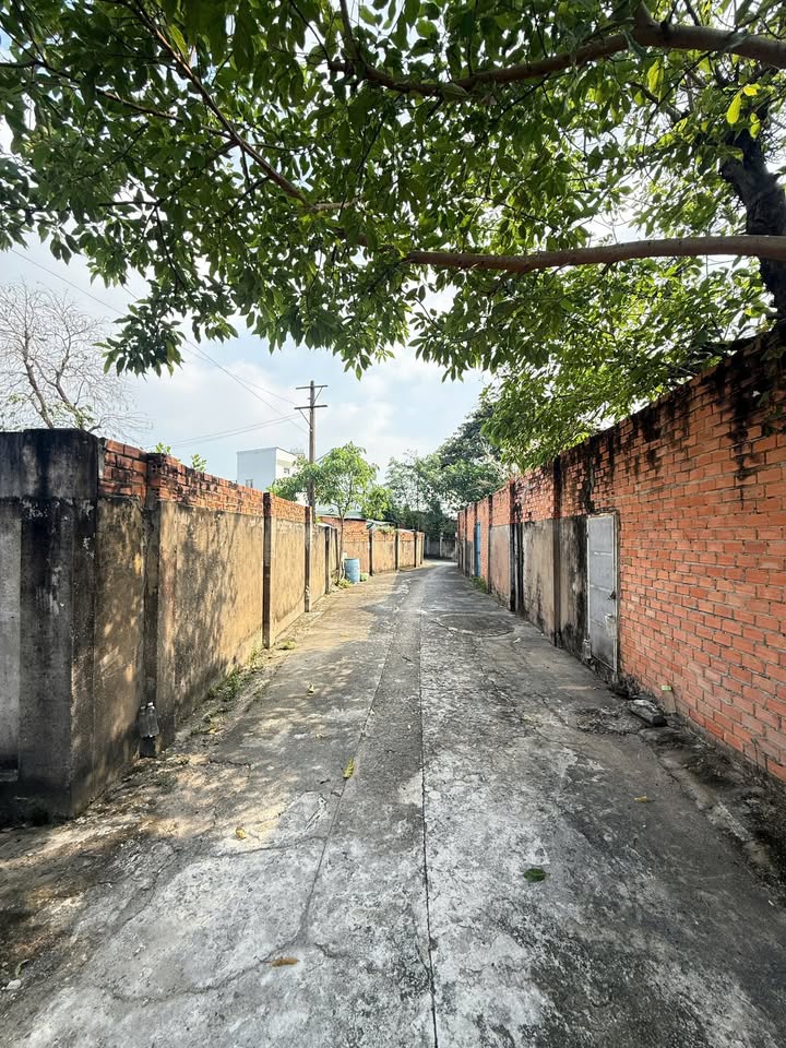 Nhà cấp 4 Lái Thiêu 200m² giá 3.8 tỷ - Cơ hội đầu tư tuyệt vời!