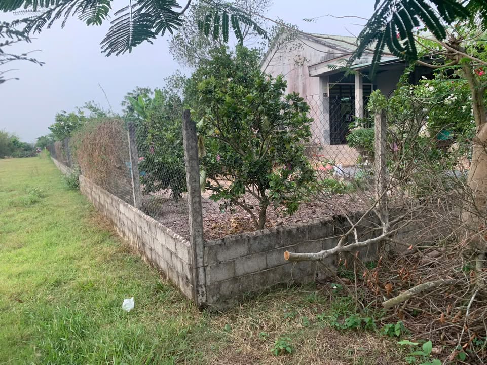 Nhà vườn mặt tiền đường 658, Củ Chi 1797m² - Phù hợp kinh doanh, giá 7.5 tỷ!