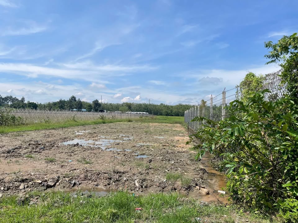 Đất vườn đường Bà Thiên, Nhuận Đức - Củ Chi 1000m² giá 2.2 triệu/m² - Sổ hồng chính chủ