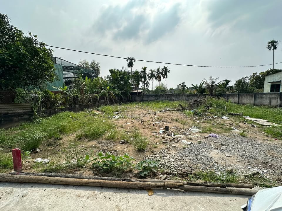 Đất thổ cư Xuân Thới Sơn, Hóc Môn 110m² giá 2.6 tỷ - Đối diện Vinhome, đường ô tô