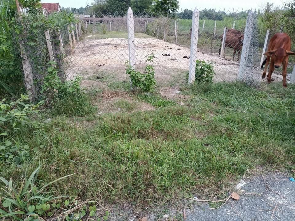 Đất thổ cư mặt tiền đường 82, xã Thái Mỹ, 161m² giá 1.35 tỷ - Đầu tư sinh lời ngay!