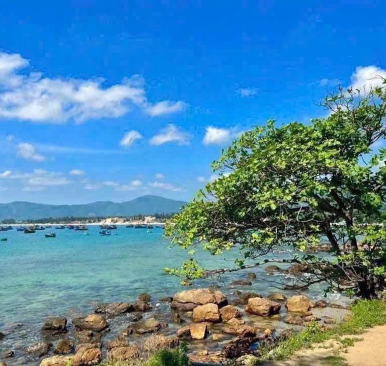 Đất du lịch biển Mũi Rồng, Phù Mỹ 203m² giá 2.5 tỷ - Tiềm năng phát triển mạnh!