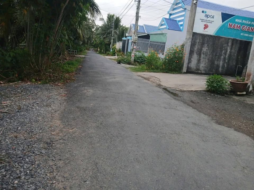 Đất nền Tân Mỹ Chánh, Mỹ Tho 250m² - Đầu tư hấp dẫn chỉ 700 triệu