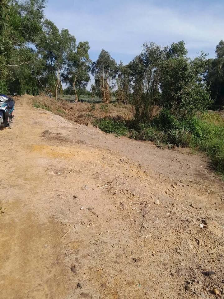 Đất nền 11 công xã Thạnh Mỹ, huyện Tân Phước - Giá chỉ 1.32 tỷ - Cơ hội đầu tư hấp dẫn!