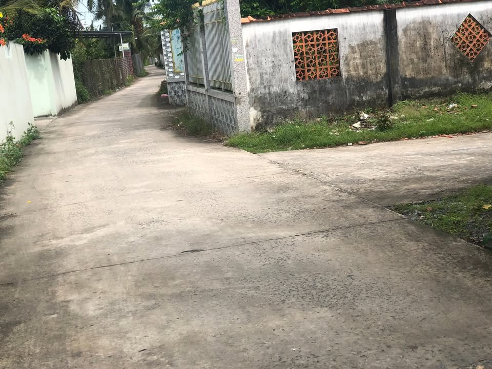 Nhà cấp 4 Lương Hoà Lạc, Chợ Gạo 245.11m² giá 1.3 tỷ - Đầu tư sinh lời ngay!