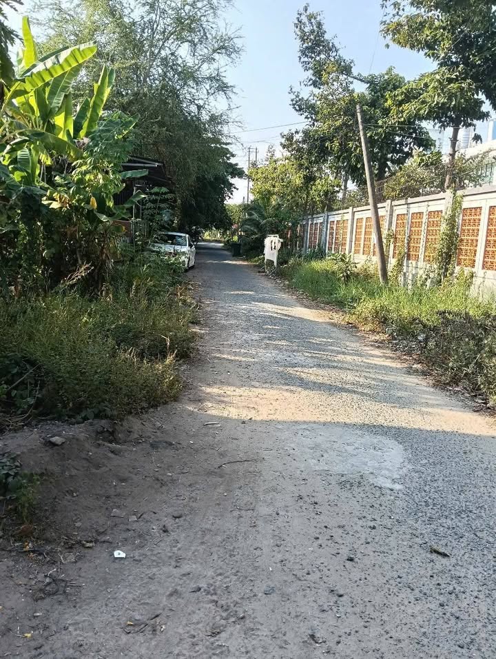 Mặt tiền kinh doanh 480m² Phường 11, Cao Lãnh - Giá 1,5 tỷ - Đầu tư sinh lời ngay!