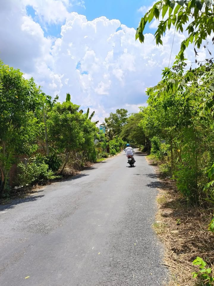 Đất mặt tiền huyện lộ 71C, xã An Cư, 720m² chỉ 1.4 tỷ - Cơ hội đầu tư tuyệt vời!