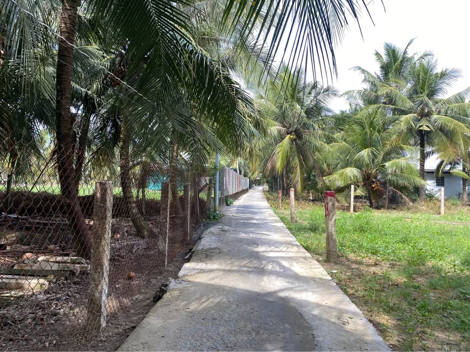 Đất nền Bình Ninh, Chợ Gạo 330m² giá chỉ 350 triệu - Đầu tư an cư lý tưởng!