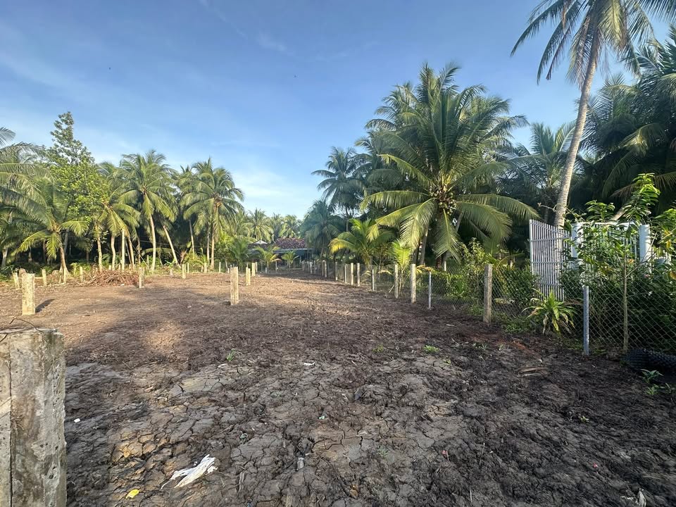 Đất nền Ấp Thạnh Kiết, Chợ Gạo 210m² giá 275 triệu - Đầu tư sinh lời ngay!