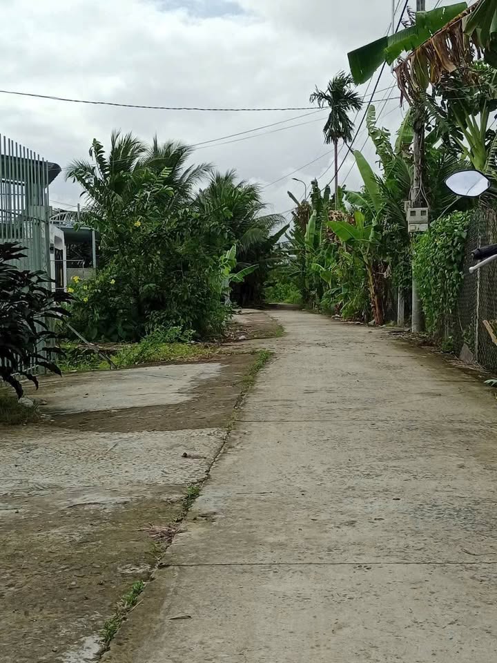 Đất nền 100m² phường Trung An, TP Mỹ Tho - Giá 499 triệu, thương lượng nhẹ!