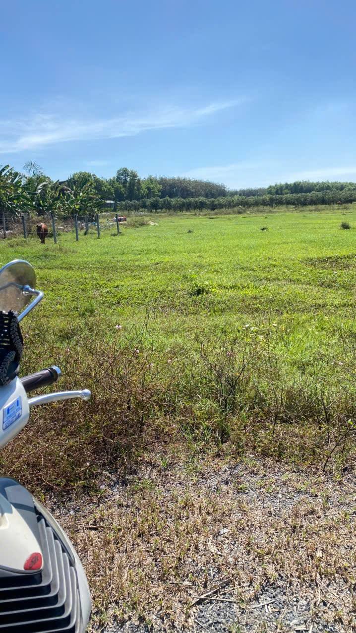 Đất thổ cư 145m² hẻm Trần Văn Trà, Tây Ninh chỉ 295 triệu - Cơ hội đầu tư tuyệt vời!