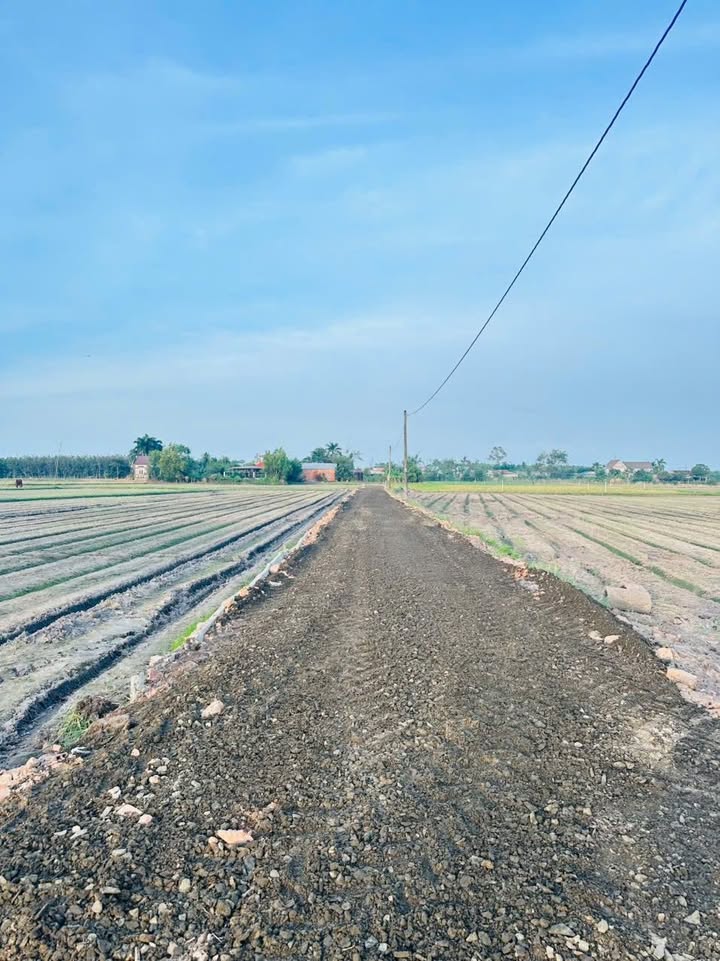 Đất nền 150m² tại Truông Mít, Dương Minh Châu - Giá đầu tư hấp dẫn!