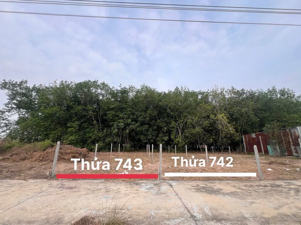 Đất nền liền kề 5x21m tại Phước Đông, Gò Dầu chỉ 350 triệu - Đầu tư sinh lời!