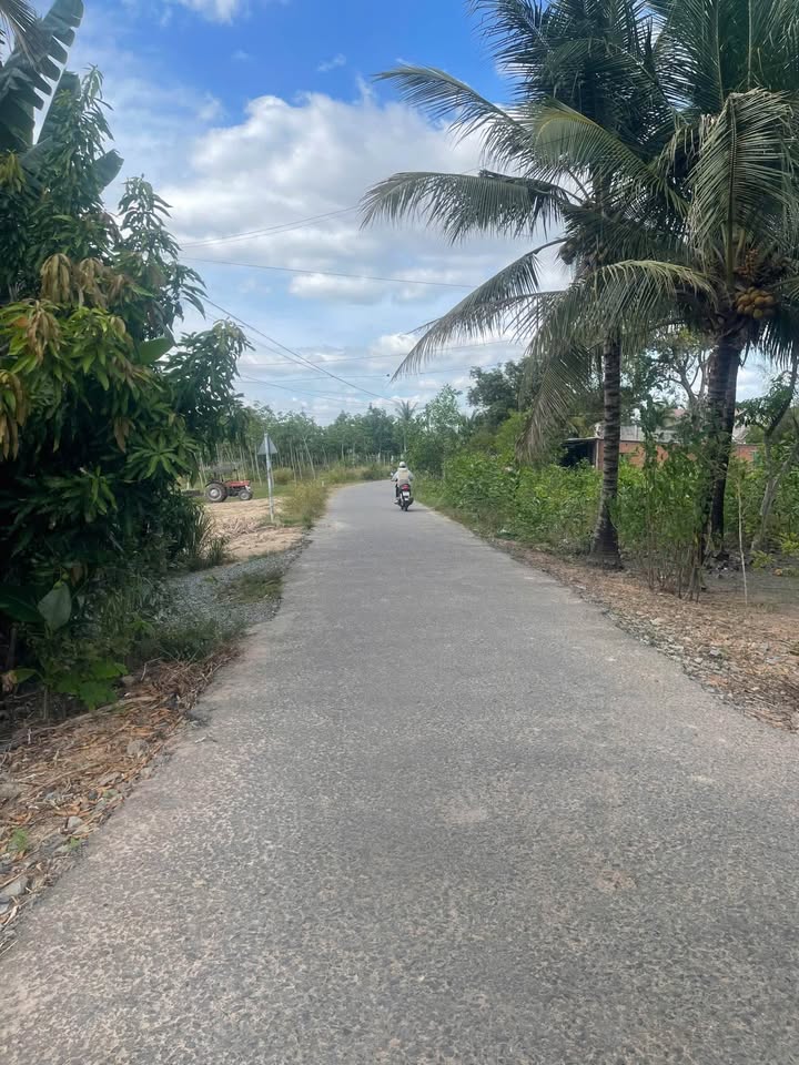 Đất nền Thạnh Bình Tân Biên 198m² giá chỉ 310 triệu - Sổ hồng chính chủ!