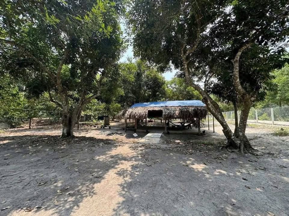 Bán đất vườn chôm chôm và măng cục tại Long Hoa, Tây Ninh - 1.064m² giá chỉ 5 tỷ!