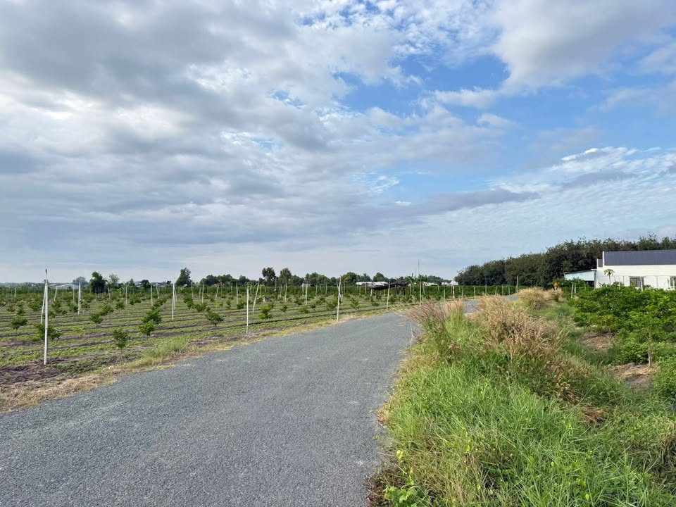 Đất thổ cư 1106m² tại phường Bình Minh, Tây Ninh - Giá 650 triệu, hỗ trợ thủ tục nhanh chóng!