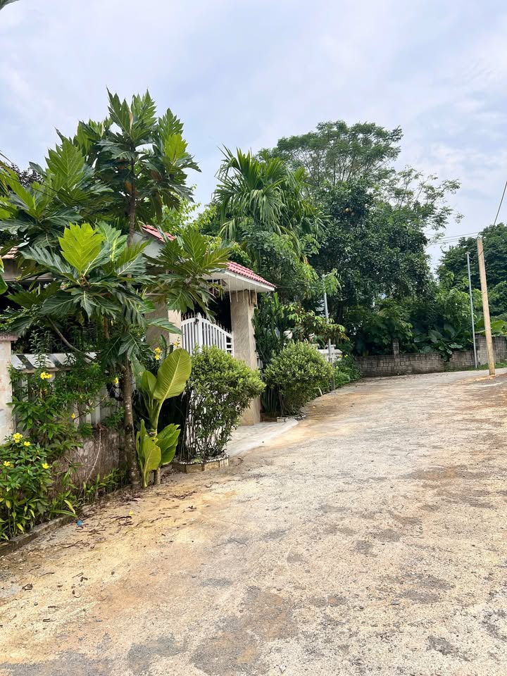 Đất kiệt ô tô Hòa Ninh, Đà Nẵng 120m² giá 1 tỷ - Cơ hội đầu tư tuyệt vời!