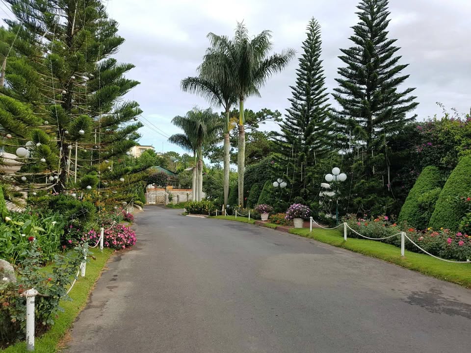 Bán lô đất biệt thự 1724m² đường Đống Đa, Đà Lạt - View tuyệt đẹp 3 mặt tiền!