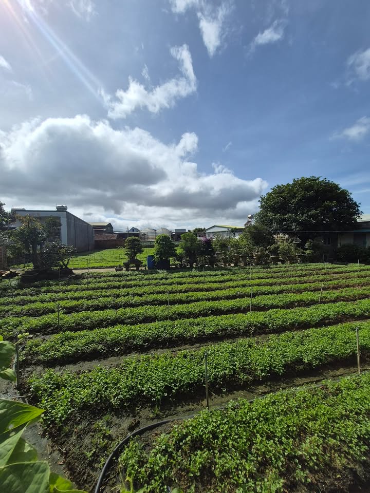 Đất thổ cư Thạnh Mỹ Đơn Dương 75m² giá 1.3 tỷ - Đường ô tô vào tận nơi!