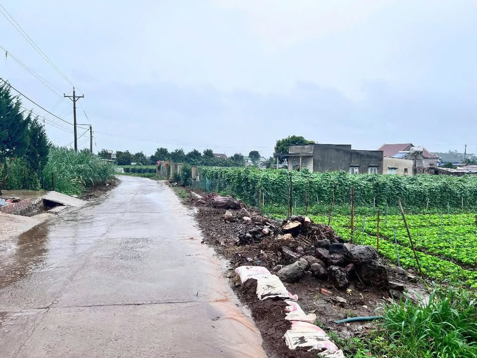 Đất thổ cư Tân Hội 500m² giá 1.9 tỷ - Cơ hội đầu tư hấp dẫn!