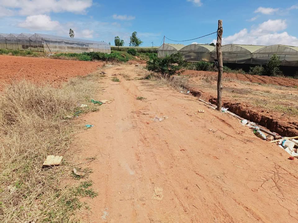 Đất sào Quảng Lập Đơn Dương 4142m² giá 1.4 tỷ - Sổ đỏ chính chủ, ra gấp!