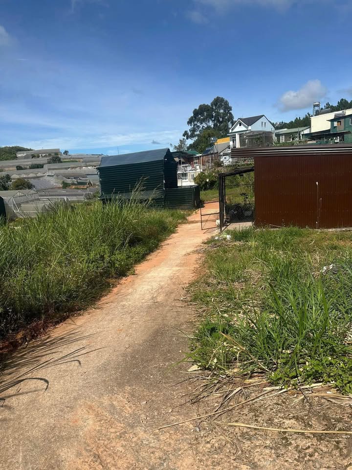 Đất nền Kim Đồng, phường Cam Ly 70m² - Giá từ 850 triệu, đầu tư sinh lời!