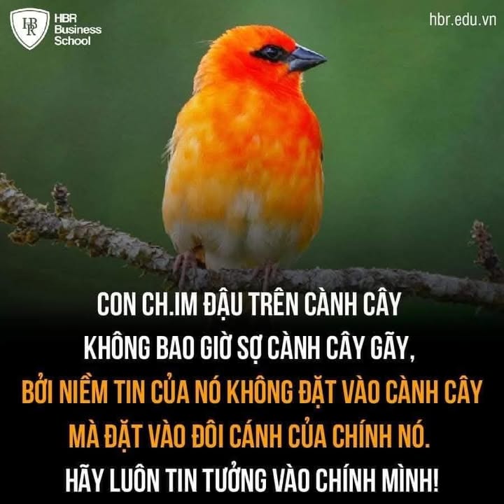 Đất nền 300m² đường Xẻo Môn, Ngã Bảy chỉ 800 triệu - Sổ hồng riêng, sát đường tỉnh lộ!