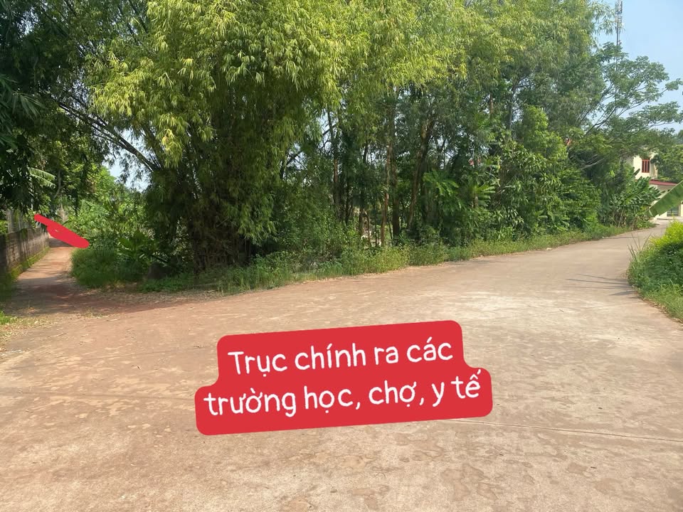 Đất nền Dương Đức Lạng Giang 123m² giá 700 triệu - Kinh doanh ngay!