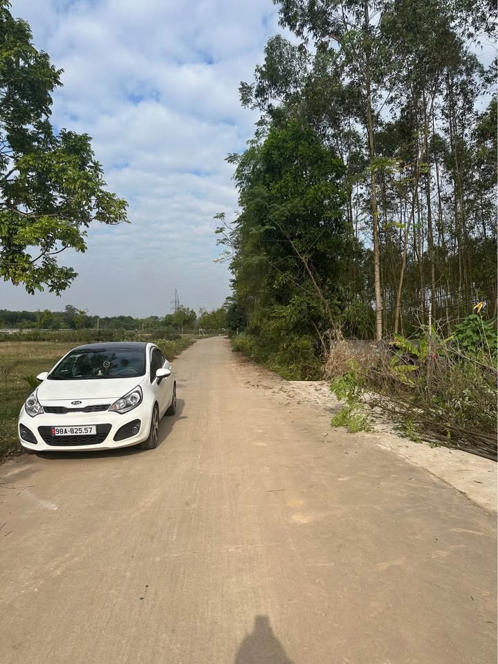 Đất nền Song Vân Tân Yên 118m² giá 1.2 tỷ - Đầu tư sinh lời tuyệt vời!