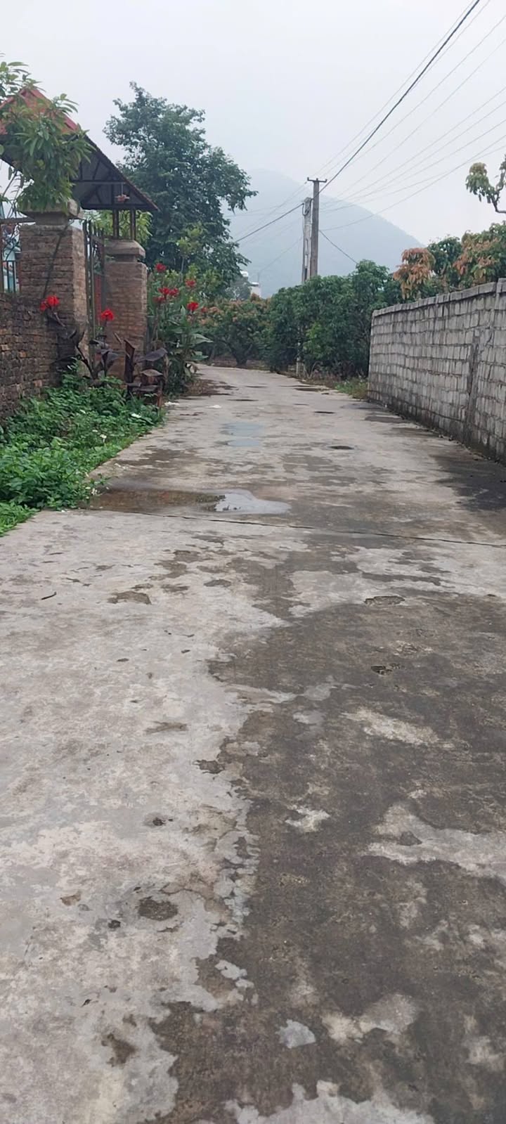 Đất thổ cư 100m² tại Nam Dương, Lục Ngạn, 265.5m² chỉ 500 triệu - Cơ hội đầu tư hấp dẫn!