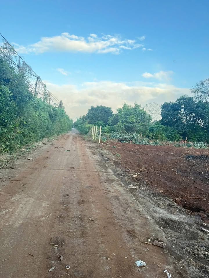 Đất nền Tân An Buôn Ma Thuột 117.5m² giá 899 triệu - Sổ hồng chính chủ, bớt nhẹ!