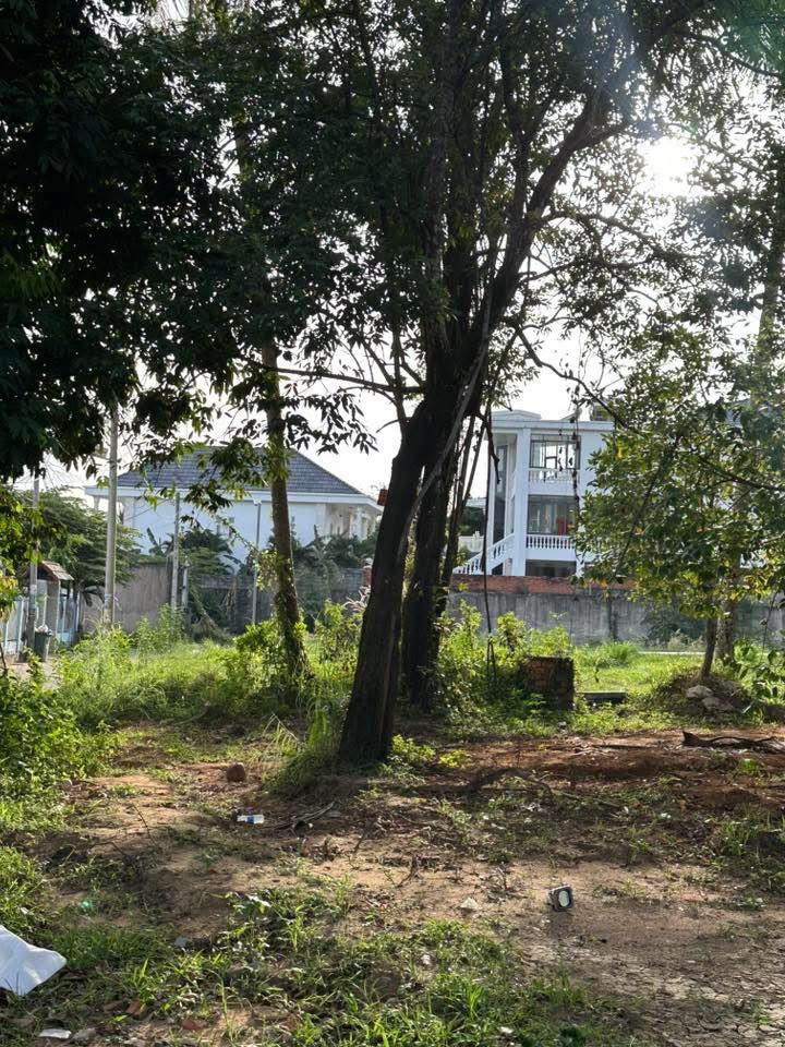 Đất nền Phú Quốc 290m² giá 7 tỷ - Đầu tư sinh lời tuyệt vời!