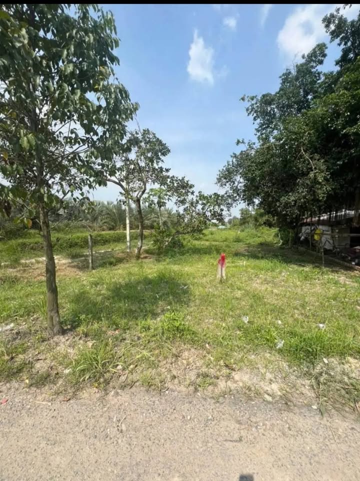 Đất thổ cư 552m² xã Đức Lập, Long An giá 4.3 tỷ - Nằm gần tiện ích trường chợ