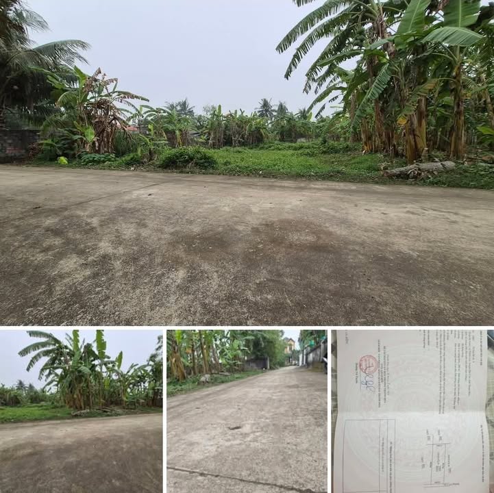 Đất nền Thôn Hà Xuân, xã Thuần Lộc 604m² - Giá thỏa thuận hấp dẫn!