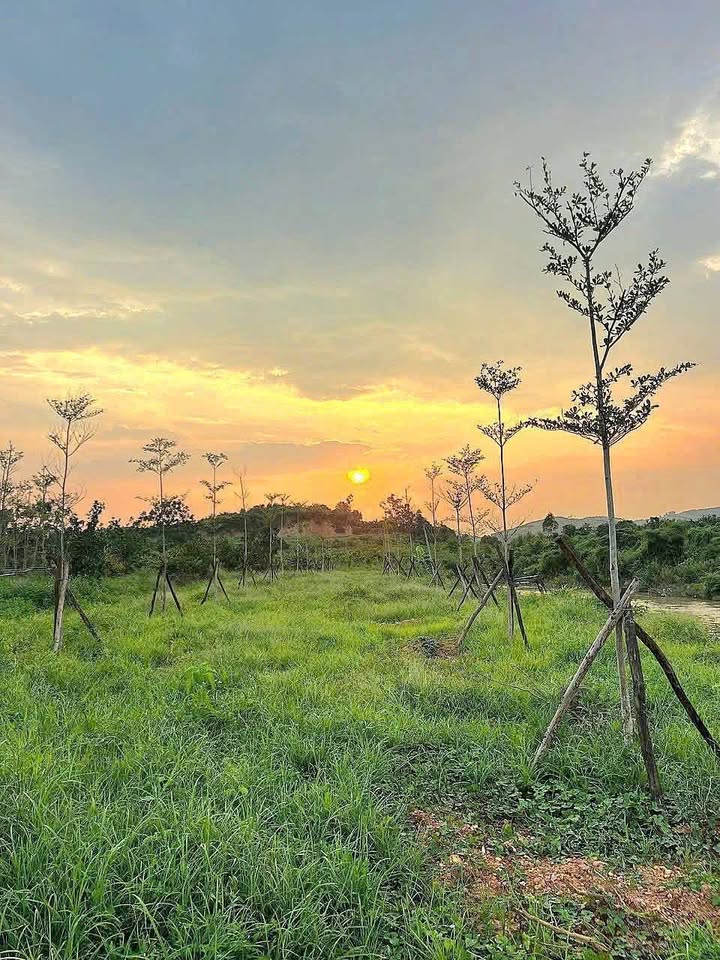 Đất nghỉ dưỡng tại Bình Sơn, Bắc Giang 1000m² - Giao thông thuận tiện, giá chỉ 1 tỷ!