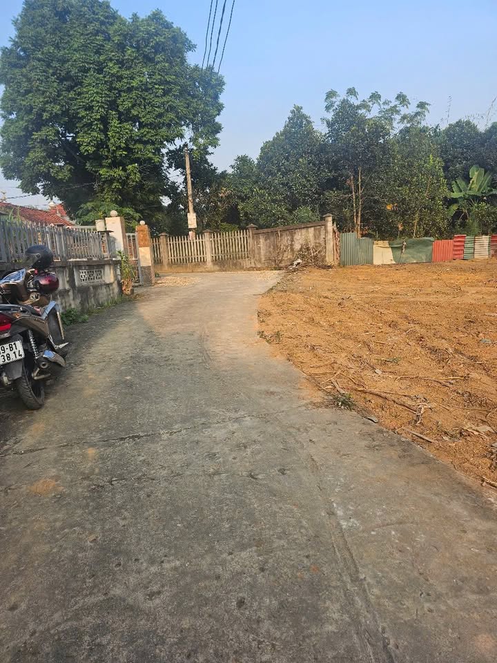 Đất nền Thanh Đình, Việt Trì 100m² giá chỉ vài trăm triệu - Đầu tư sinh lời hấp dẫn!