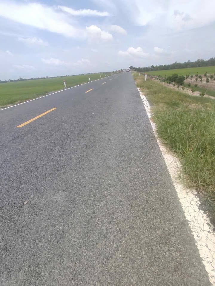 Đất ruộng lúa 2 vụ Tân Hồng 2800m² giá 4 tỷ - Vị trí đẹp, giao thông thuận lợi!