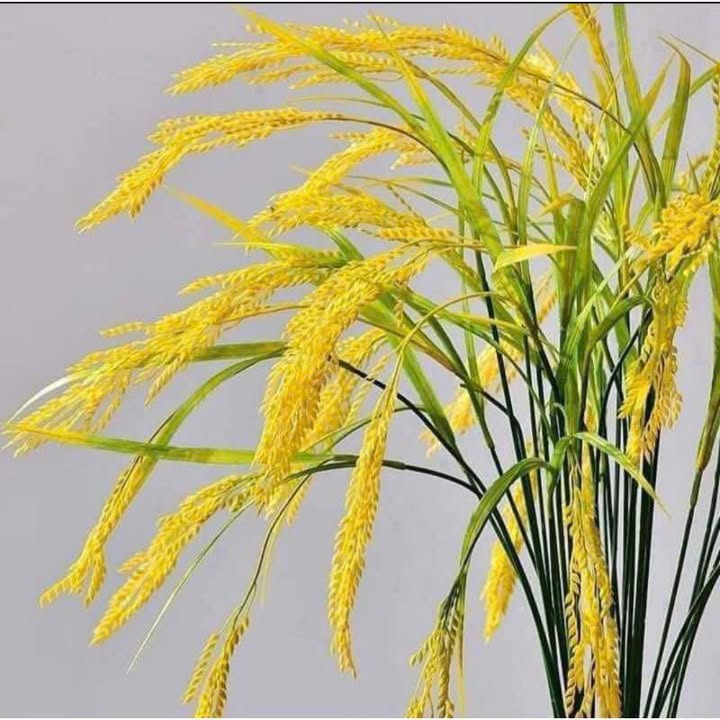 Đất nền Ấp 3, Xuân Thới Thượng 160m² giá 4.9 tỷ - Xây dựng tự do ngay!