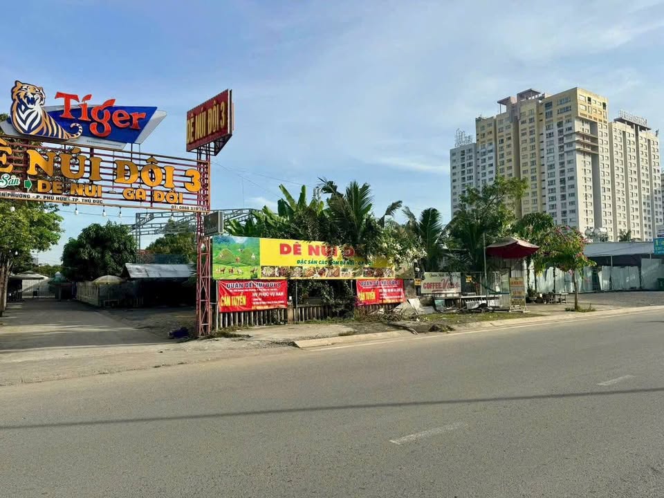 Đất nền Liên Phường, Phú Hữu, Quận 9, 477m² giá 71.5 tỷ - Đường rộng 30m, đầu tư sinh lời!