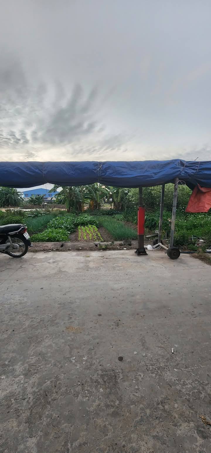 Đất nền Bình Xuyên 76m² giá 1.8 tỷ - Đầu tư sinh lời cao!