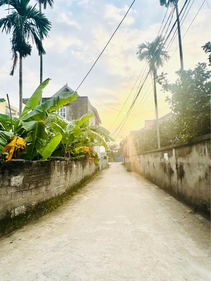 Đất nền Lương Quán, Nam Sơn, An Dương 61m² giá 1.35 tỷ - Vị trí đắc địa, giao thông thuận tiện!