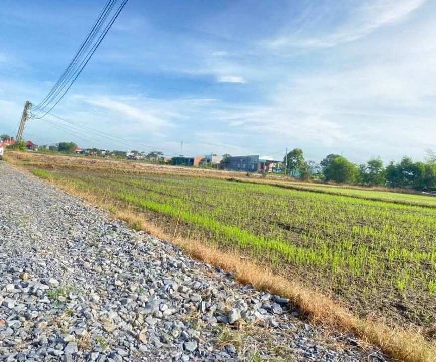 Đất nền ấp Lập Thành, Hòa Khánh Tây, 110m² giá 540 triệu - Đầu tư sinh lời ngay!