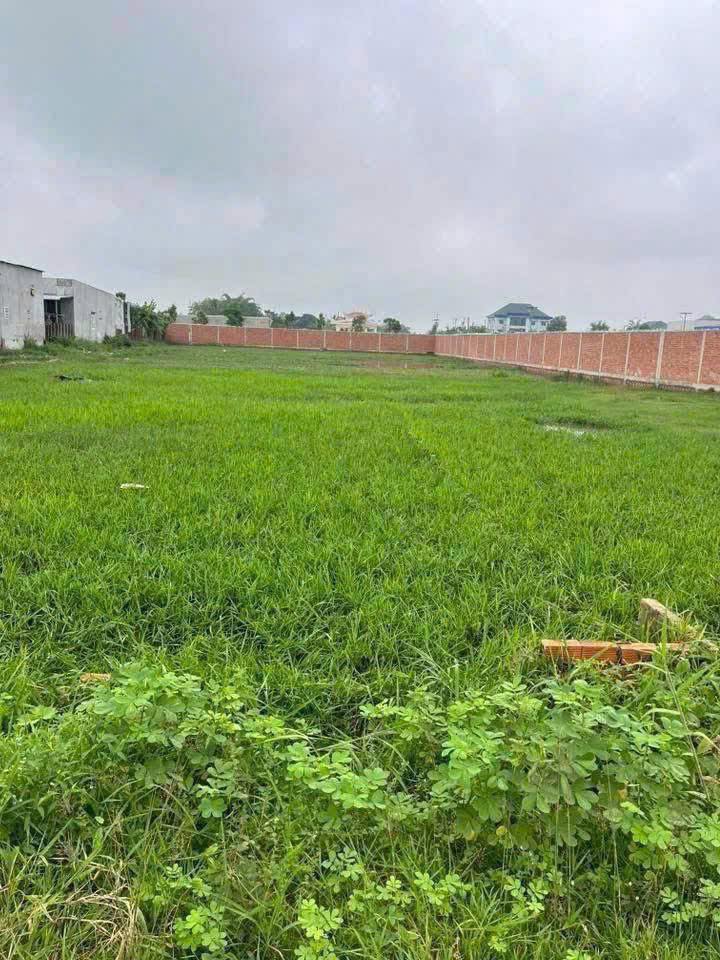 Đất nền Đức Lập Hạ 1500m² giá 4.2 tỷ - Sổ hồng chính chủ, thuận tiện xây dựng!