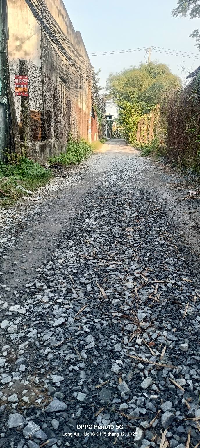 Bán gấp nhà cấp 4 115m² ấp Bình Hữu 1, Đức Hòa - Giá 1.35 tỷ thương lượng!