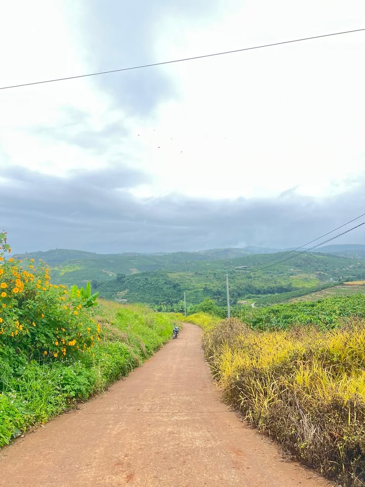 Đất nền Tân Thượng, Di Linh, Lâm Đồng 152m² giá 350 triệu - Cơ hội đầu tư hấp dẫn!