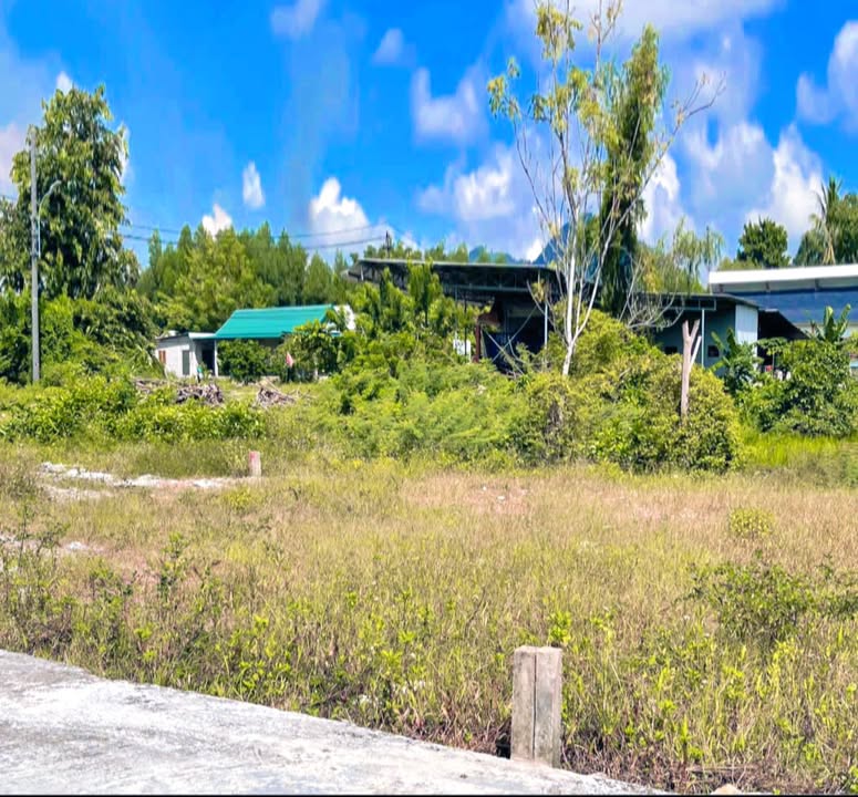 Đất nền 2 lô liền kề tại Chầm, Hương Hồ – Giá từ 400 triệu, sổ hồng riêng!