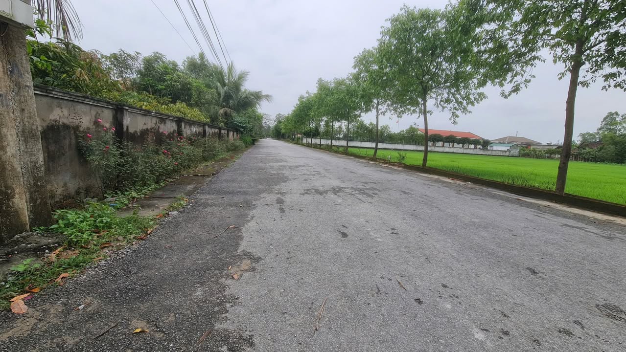 Đất Nền Nghi Liên 86m² giá 1 tỷ - Sổ hồng chính chủ, đầu tư thông minh!