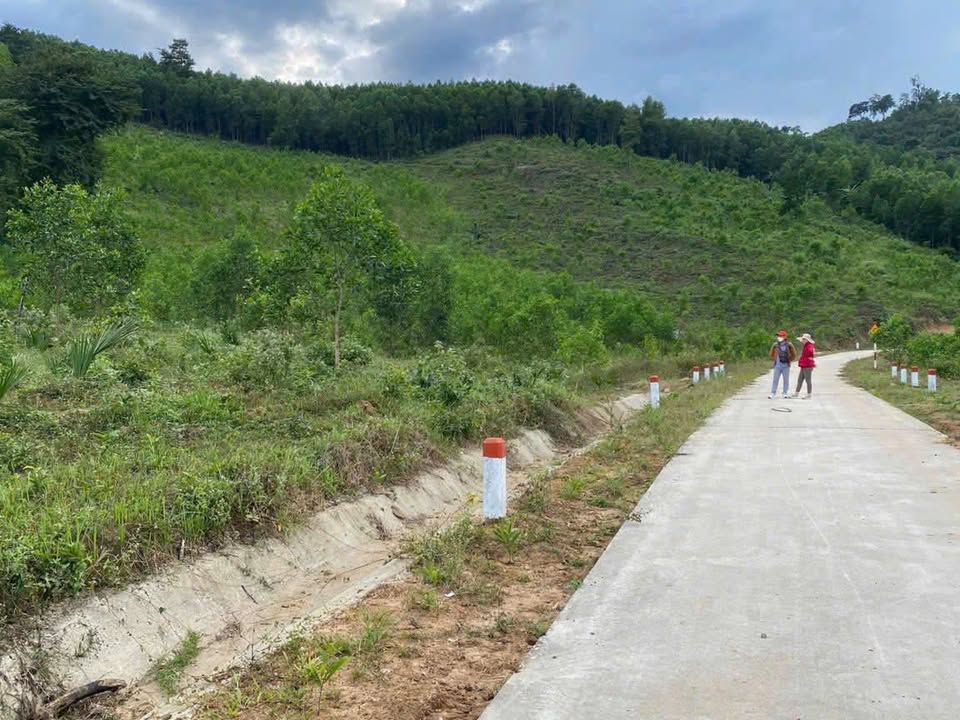 Đất nền Khánh Hiệp 2646m² giá 600 triệu - Phù hợp làm nhà vườn