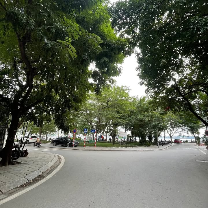 Nhà phố Quảng An Tây Hồ 100m² giá 56 tỷ - Đầu tư sinh lời ngay!